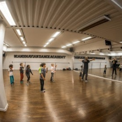 Scandinavian Dance Academy