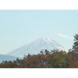 ダンスシアターＹ (クラシックバレエ)