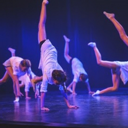 Dansstudio Van Harten