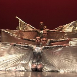 A.C. Danza 'Citta' Di Cascina'