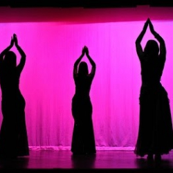 Desert Rose Dance Studios Inc.