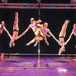 Elisa Jo Studio's Haarlem