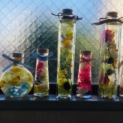 Emily School of Ballet