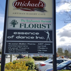 Essence Of Dance Inc