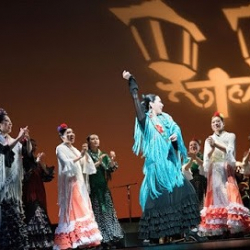 フラメンコスタジオ・アル・アイレ