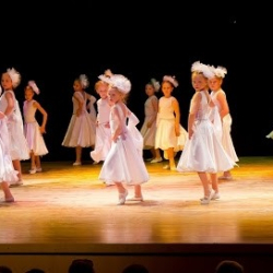 Студия танца Фламинго