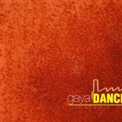 Gaya Dance Factory
