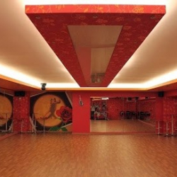 The Dance Club Pole Dance Academy