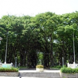 ナ・プア・ハリア アロハ