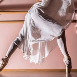 Héron Danza Musica Spettacolo