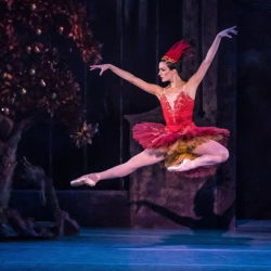 Indianapolis School of Ballet