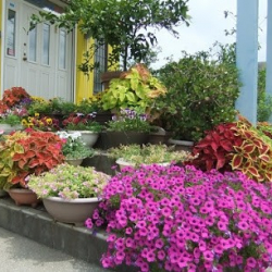 ダンススクールＫ・Ｙ