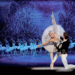 Centro Danza La Fenice