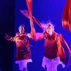 L'oiseau-Lyre, Association Artistique Et Culturelle