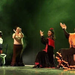 Flamenco Dance Academy Maria Serrano