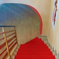 Mister Dancing Roma Parioli - Scuola Di Ballo