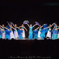 MOONA`s Tanztraum Oriental - Bauchtanz in Schweinfurt und Umgebung