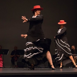 Al Mozaico Flamenco Dance Academy