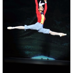 Northbridge Dance Studios