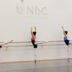 Nuovo Balletto Classico