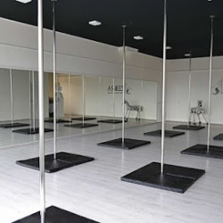 Zebra Pole Dance Studio