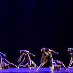 Phalibis Stúdio de Dança