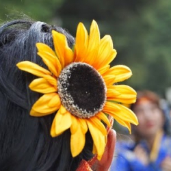 ９０３ダンススタジオ(903 DANCE STUDIO) センター北 中川のダンス教室