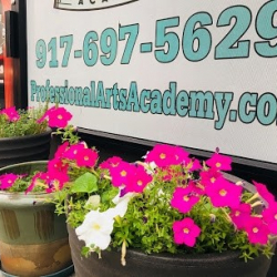 Professional Arts Academy