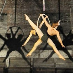 S-Connection Aerial Arts