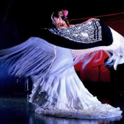 Scuola delle Arti Danza & Musica