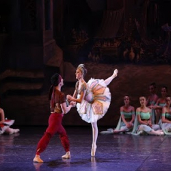 Scuola di Danza Napoli - Accademia L'Arte Del Movimento