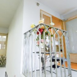 長井健次スポーツダンスアカデミー