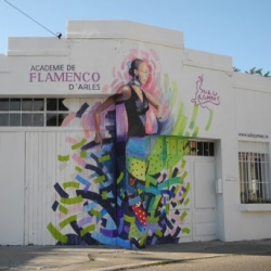 Academy Flamenco D'arles