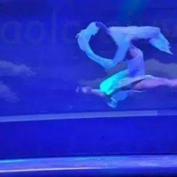 Spazio Danza per lo Studio della Danza Classica, Moderna e della Cultura Artistica