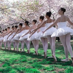 Sterling Ballet Academy