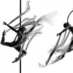 Studio Graci Munerol na Grande Florianópolis - Pole Dance, Lira e Tecido Acrobático