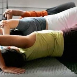 m.a. studio - Susanne Braun