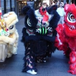 Sydney Liondance Team