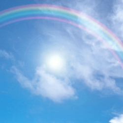 スタジオ taf taf