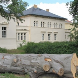 Tanguito the Hall of Peace · Tango Argentino in Potsdam