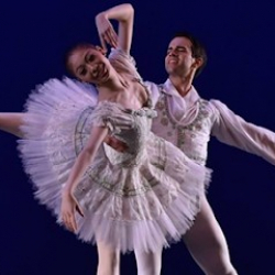 テアトル・ド・バレエカンパニー