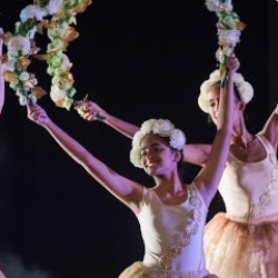 The Lewis Foundation Of Classical Ballet