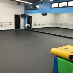 The Pointe Dance Arts