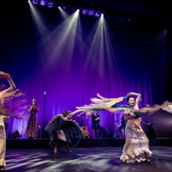 The Sydney Flamenco Studio