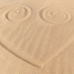 Werkstatt für Tanz und Töne