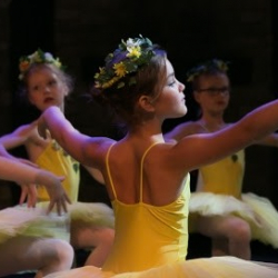 The Vacani School of Dance (Woking)