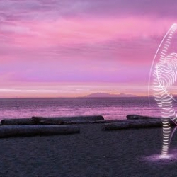 Vela Academy of Movement