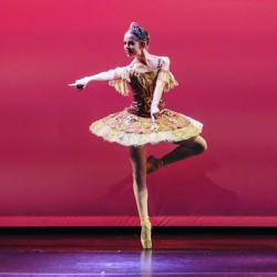 Витакка Вокашенал Скул оф Данс, Вудлендс