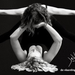 Vlaardingse Ballet en Dans School