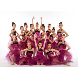 Vlad's Dance Company